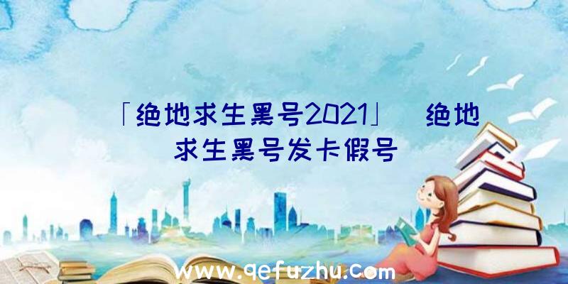 「绝地求生黑号2021」|绝地求生黑号发卡假号